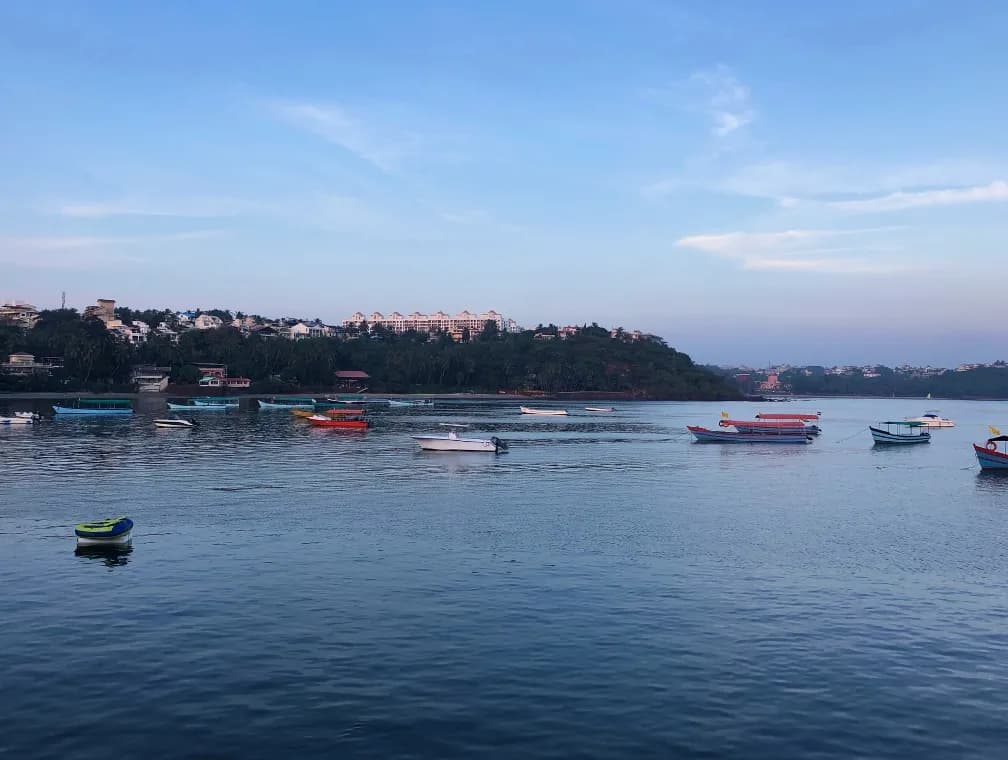 dona paula